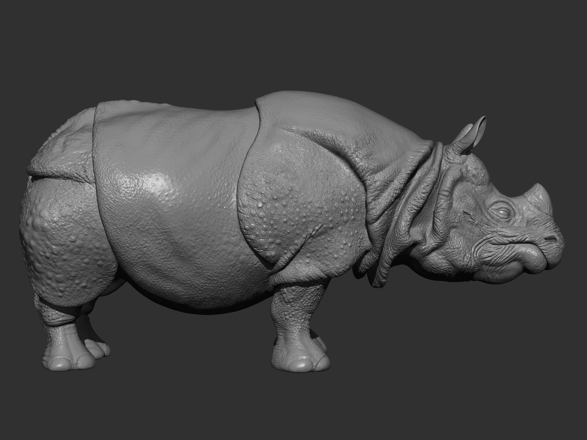 ArtStation - Indian Rhino Digital Sculpting..