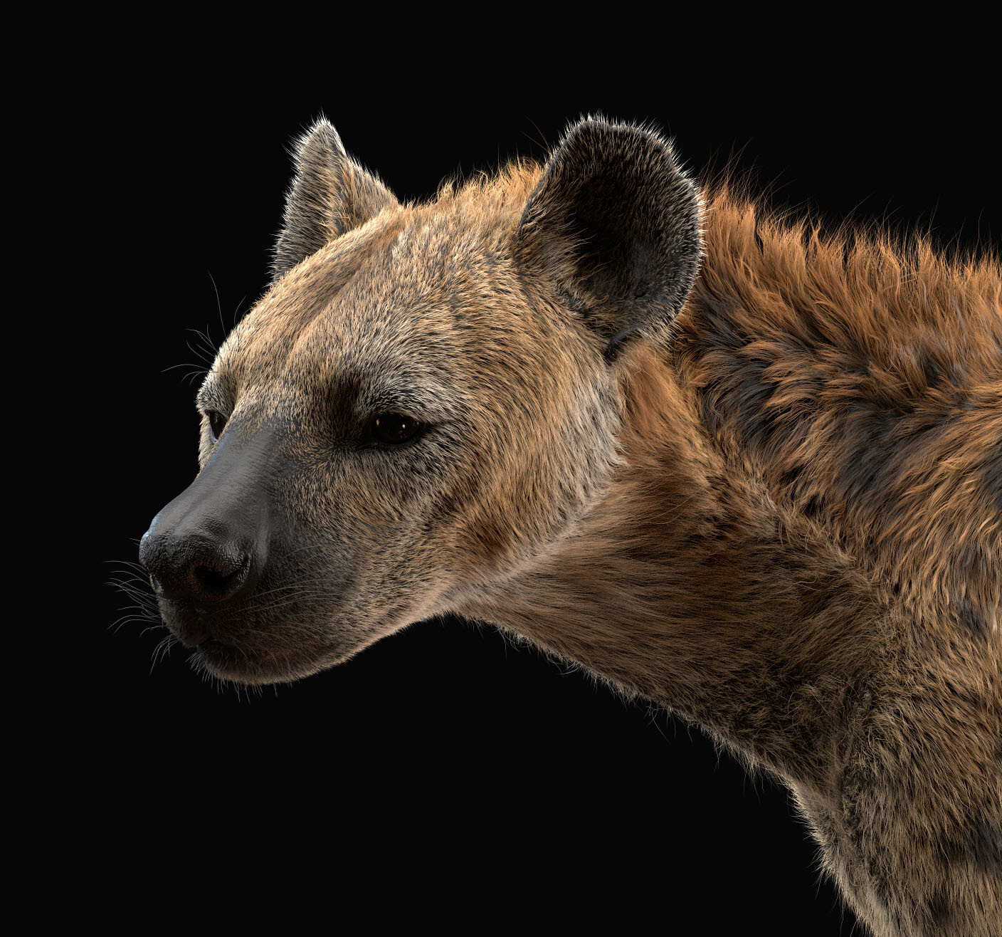 ArtStation - Spotted Hyena