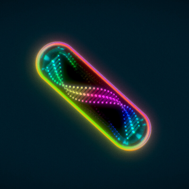 Acid Twist