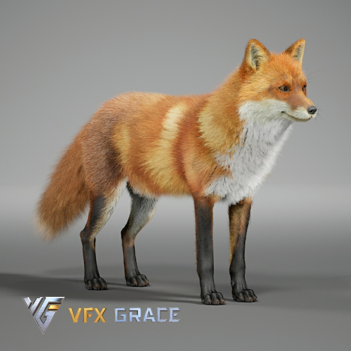 ArtStation - Red Fox - UE Character Asset