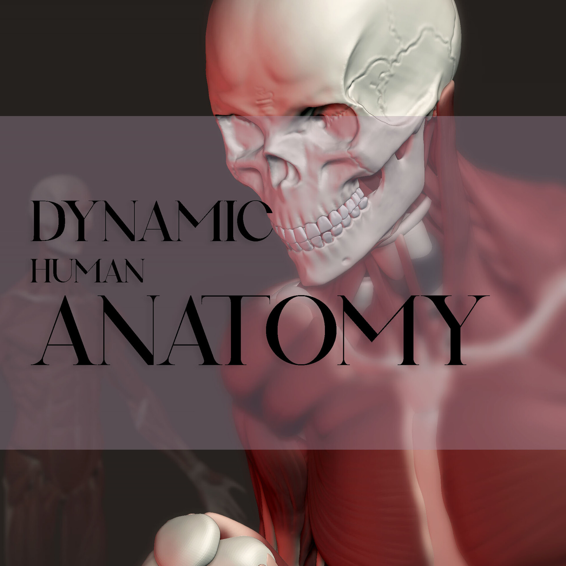 DYNAMIC HUMAN ANATOMY Biology Diagrams