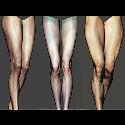 Legs - Timelapse [Zbrush]