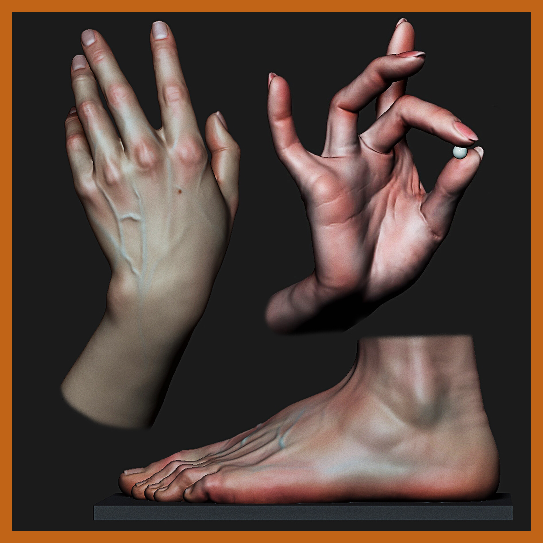 ArtStation - Hands and Foot Study