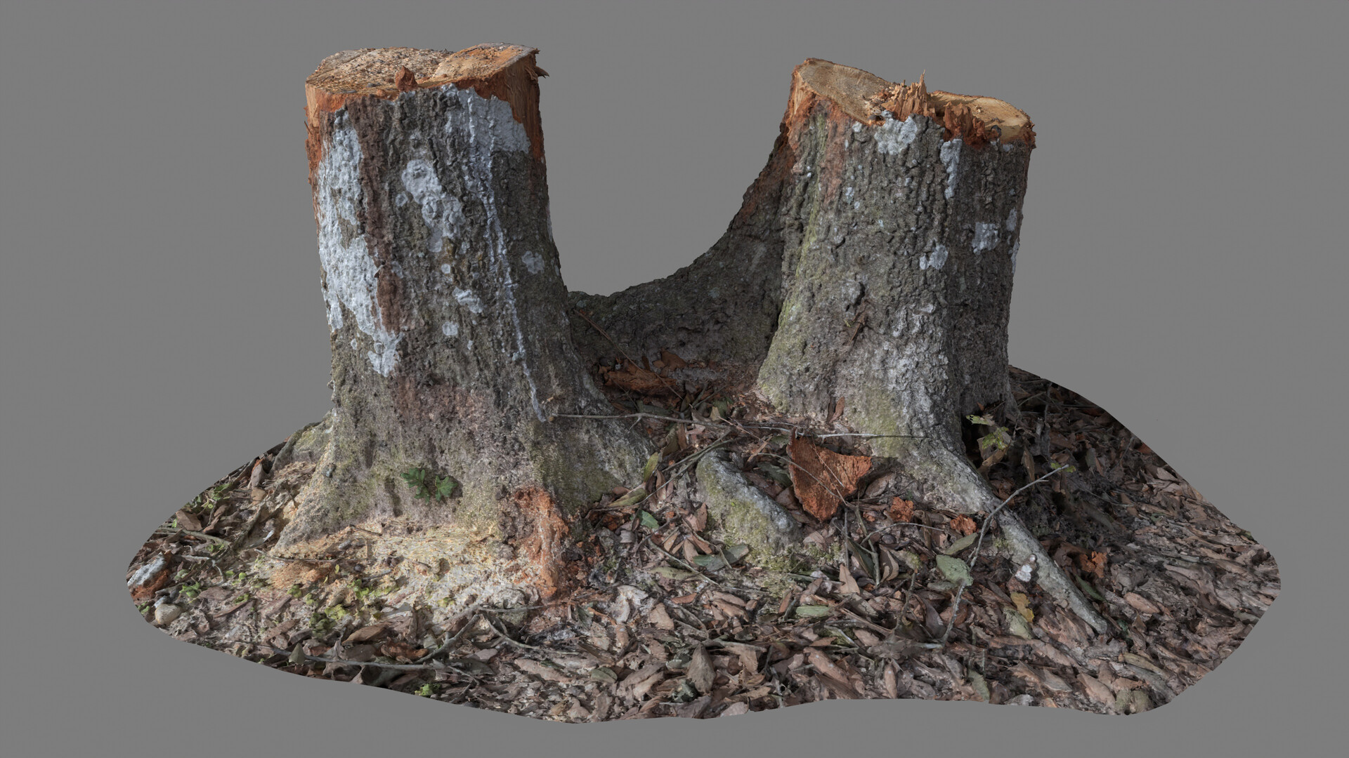 ArtStation - Tree Trunks (Game Asset)