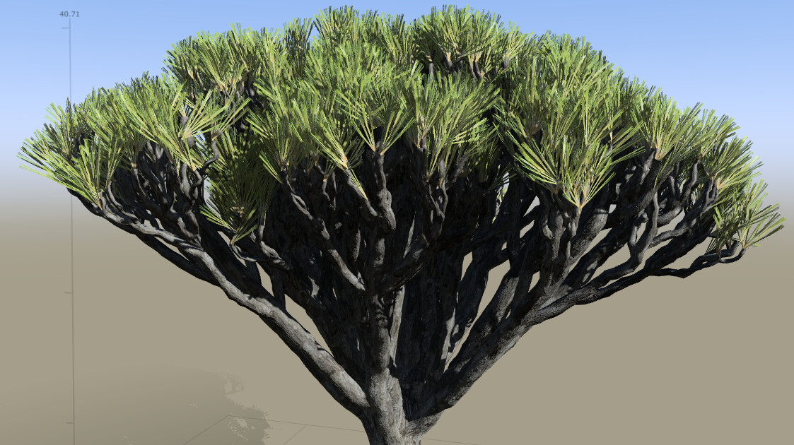 ArtStation - Dragon's Blood Tree in Speedtree