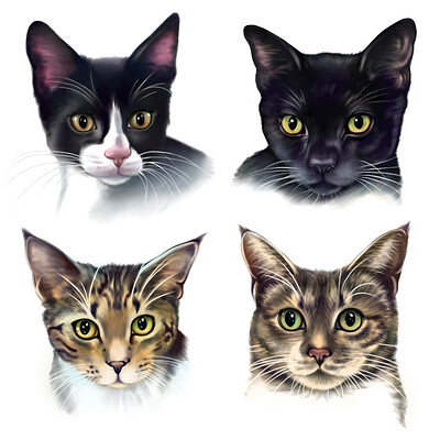 Digital Pet Portraits