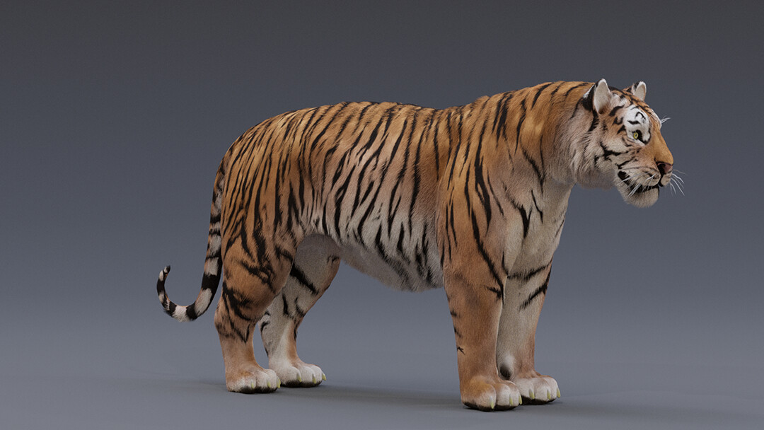 Artstation - The Tiger