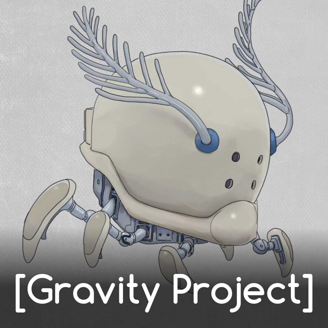 Gravity Project - Cartographer