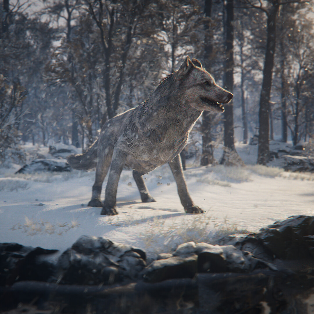 Wolf | UE5