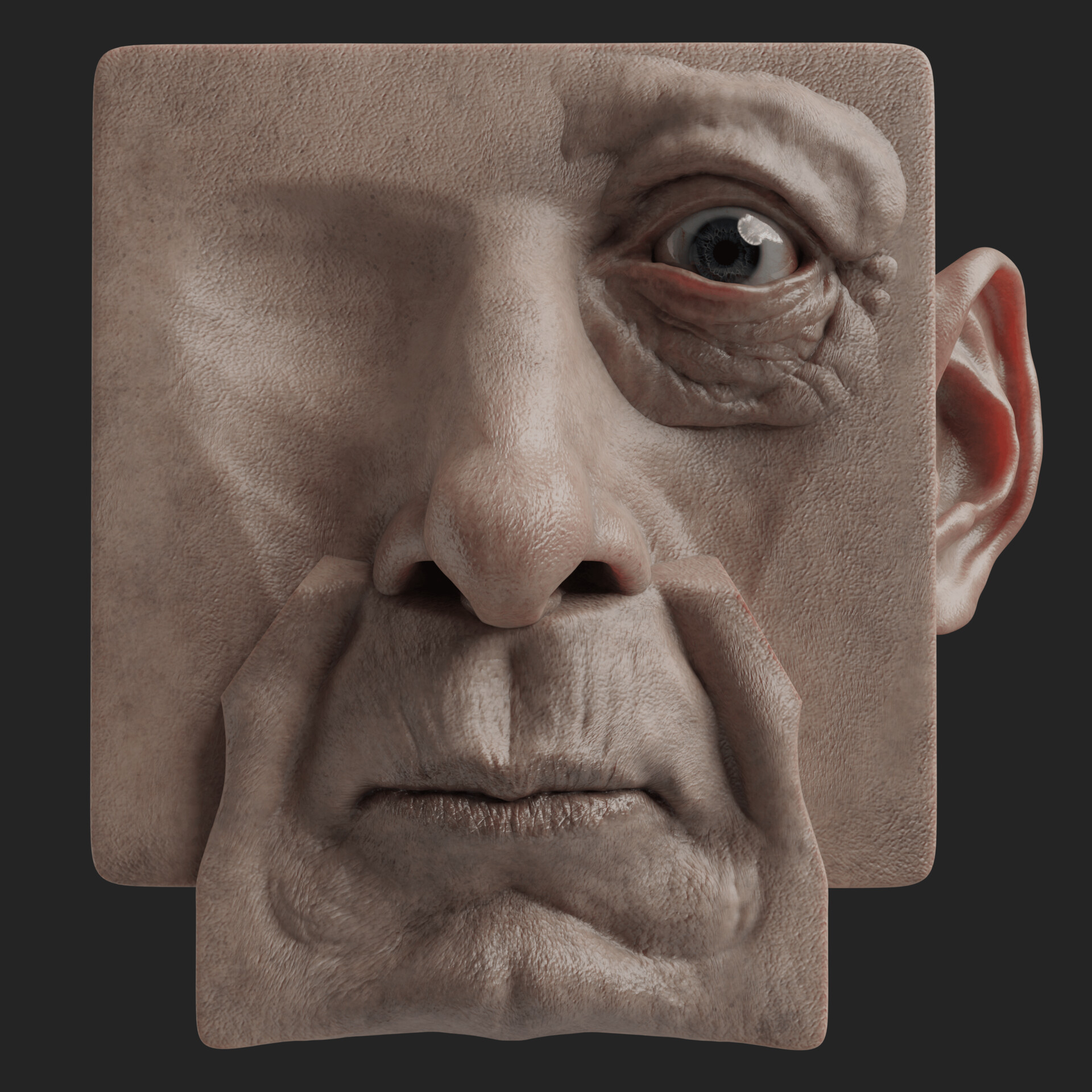Artstation facial amalgam