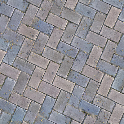 City Herringbone Bricks