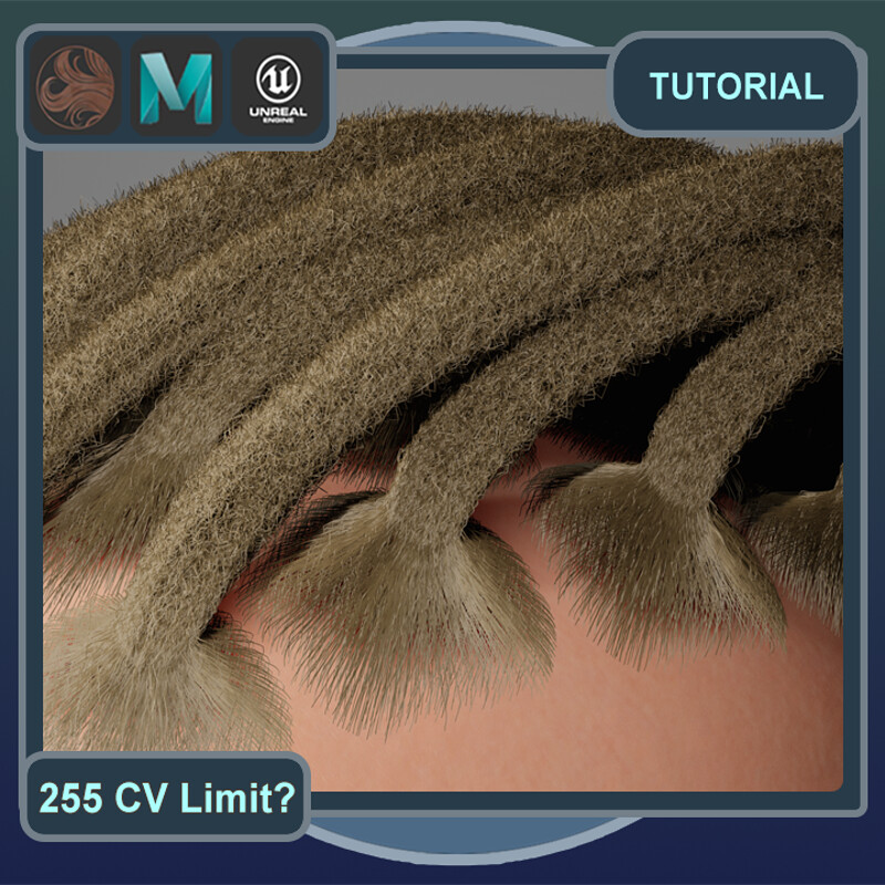 Overcoming 255 CV Limit in Ornatrix Maya to UE: Dreadlocks Tutorial