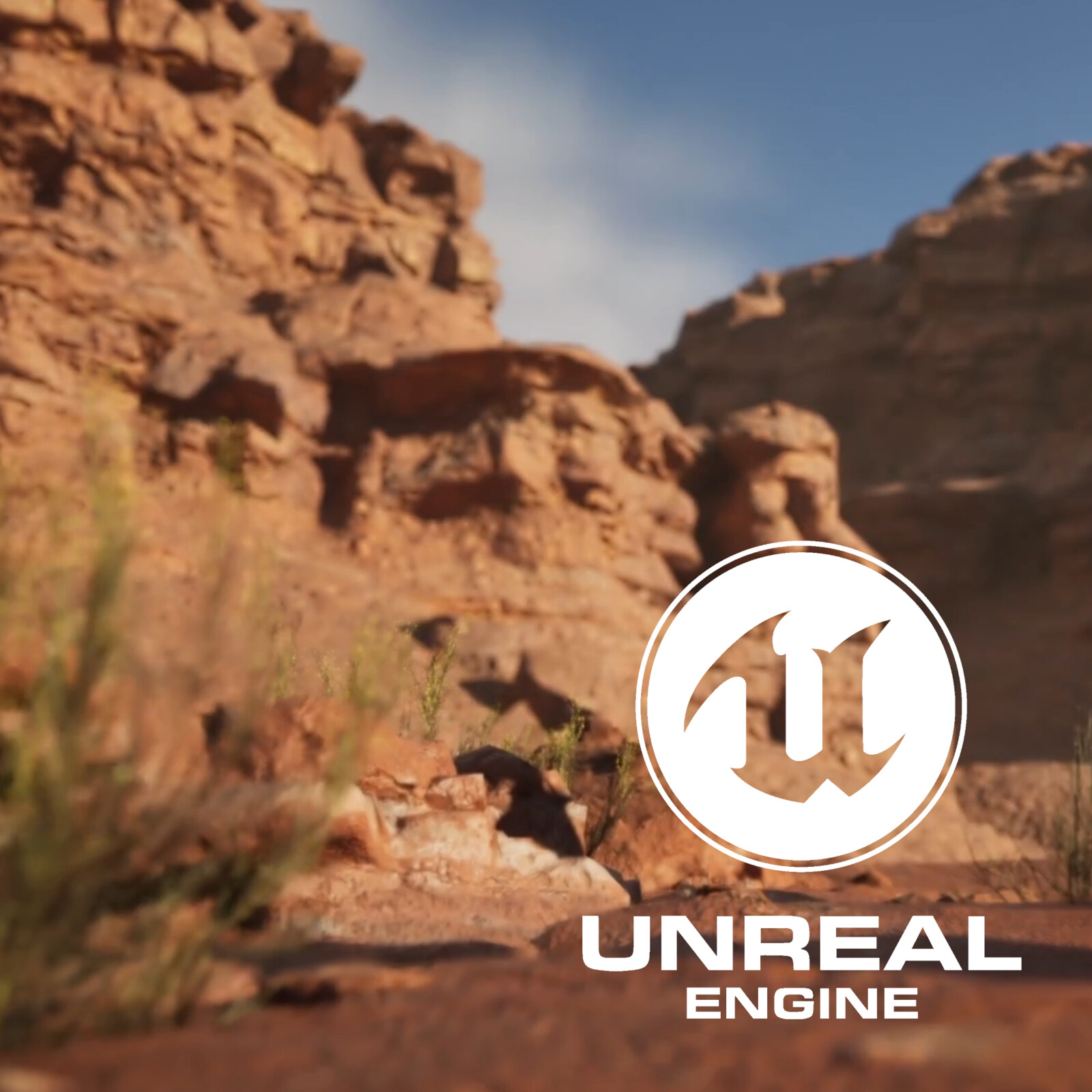 Desert Canyon - Unreal 5