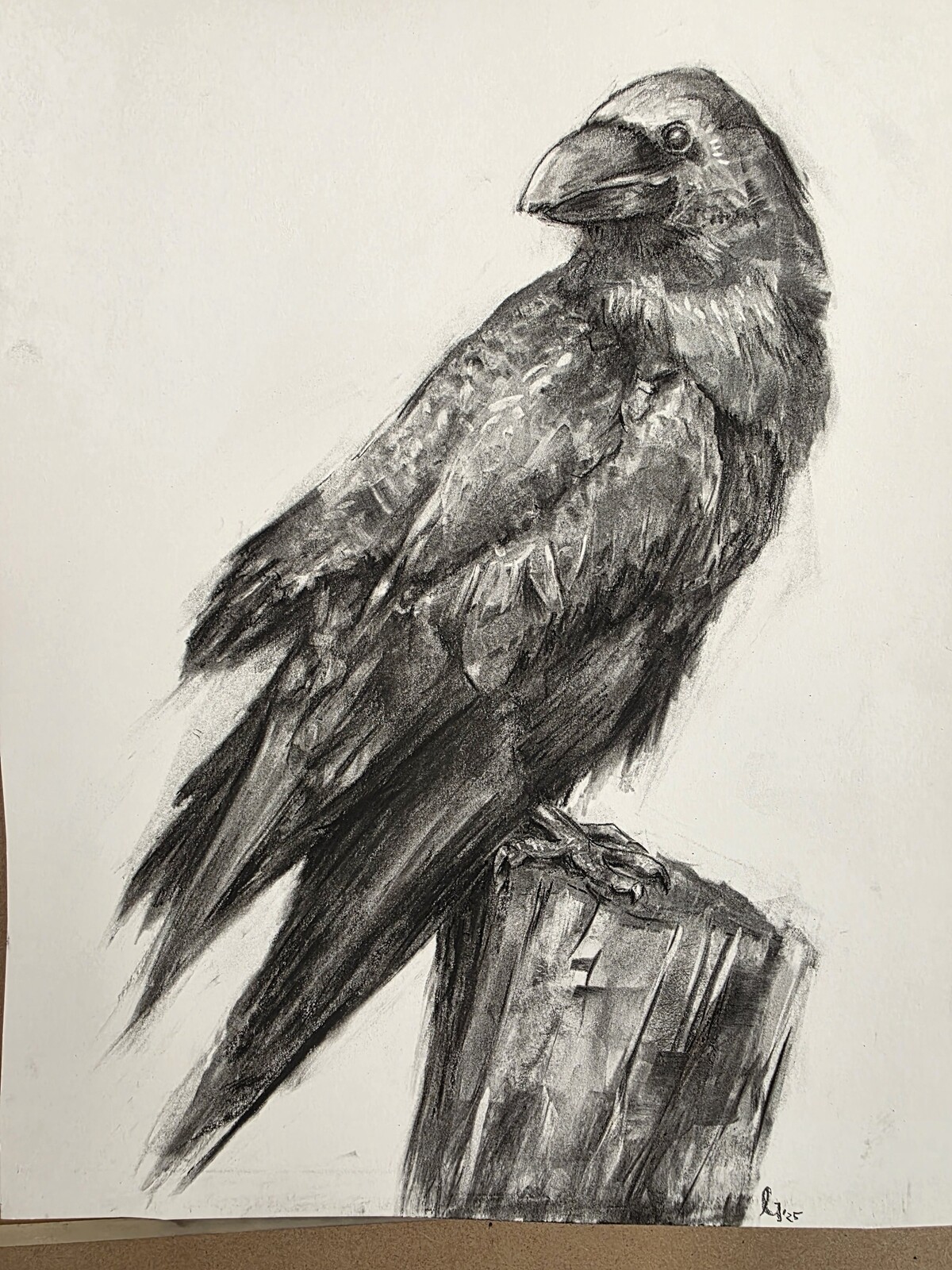 Recent sketches and exploration of traditional media