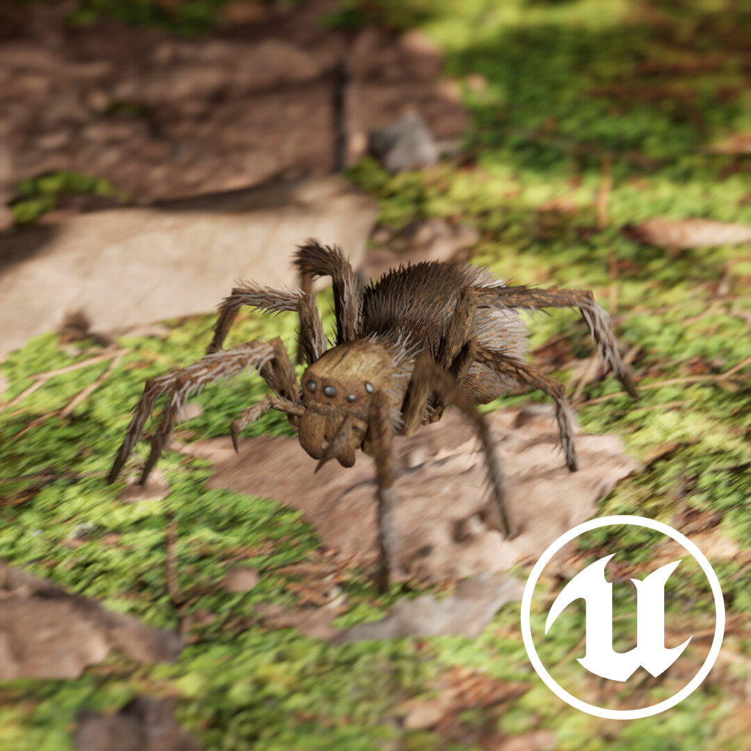 ArtStation - Forest Spider – Rig, Animation & Render in Unreal Engine 5