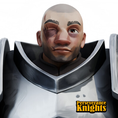 Perseverance Knights
