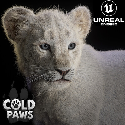 ColdPaws - Chinnu-White Lion Cub - Unreal engine 5 