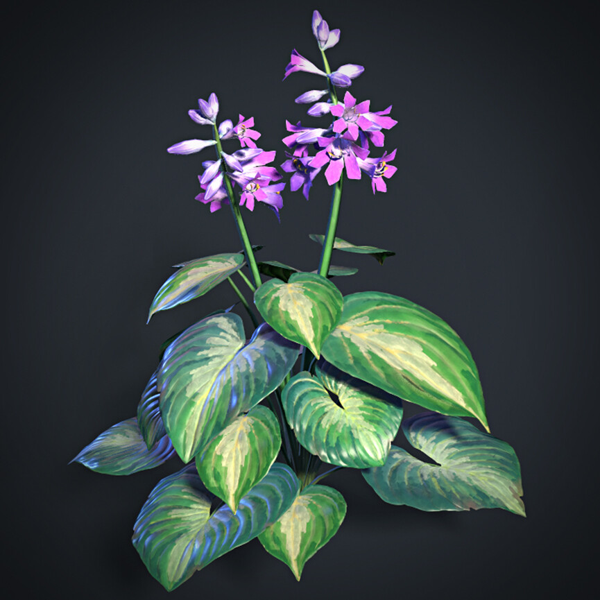 Stylized Hosta Plant