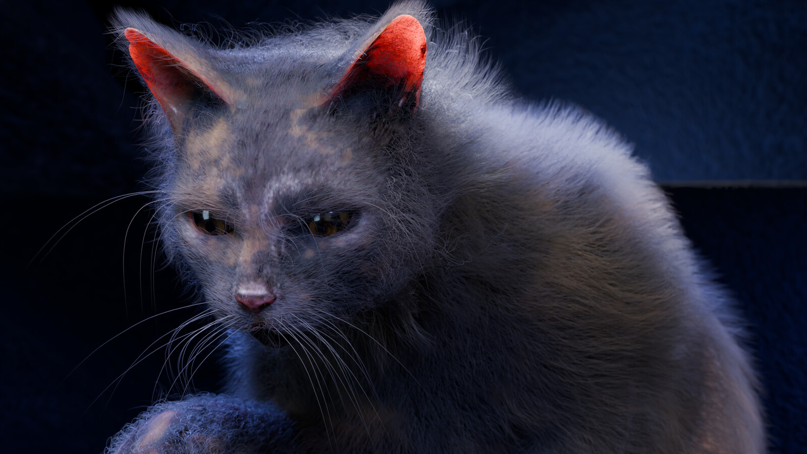 Dynamic Hair Grooming Study - Cat