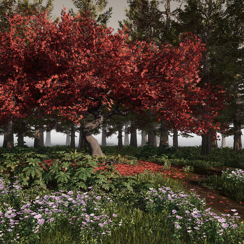 Japanese Inspired Vegetation