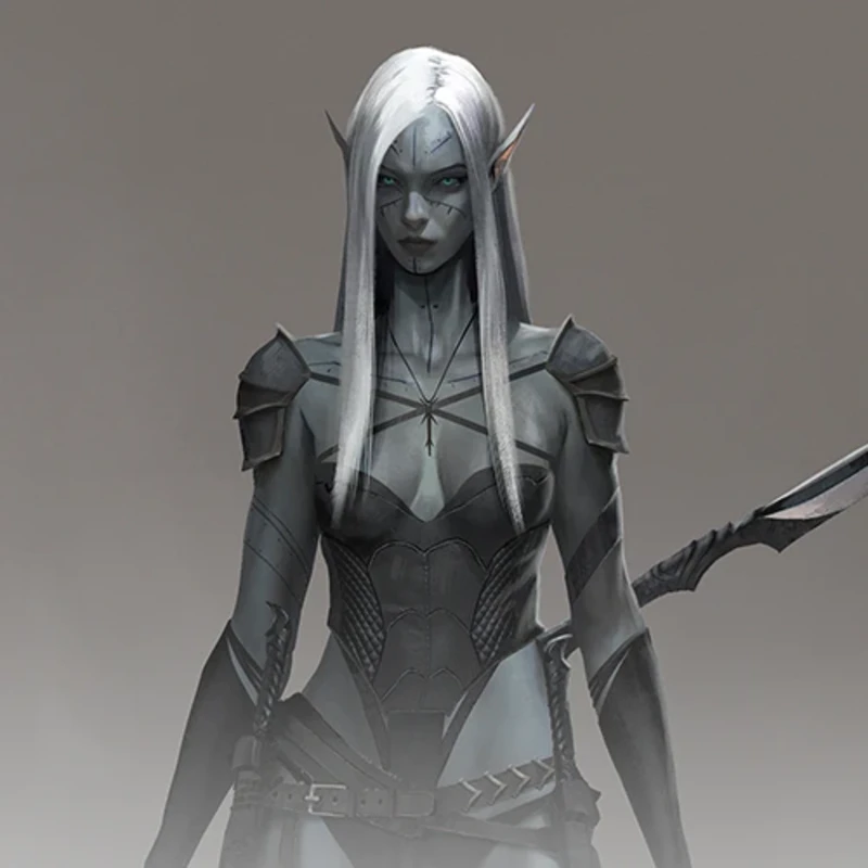 The Assassin