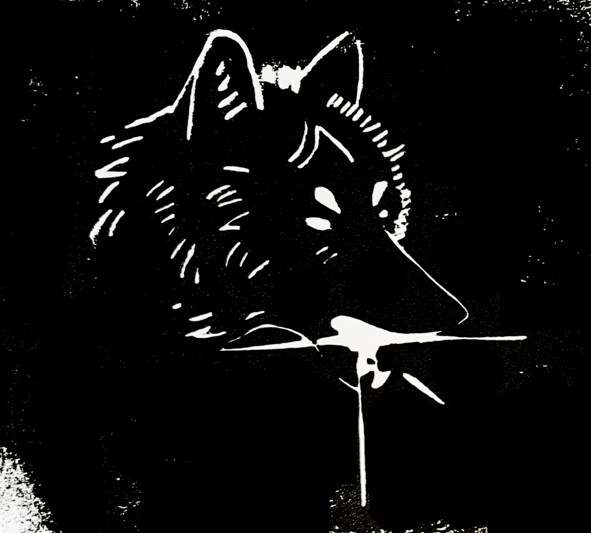 Coyote Star