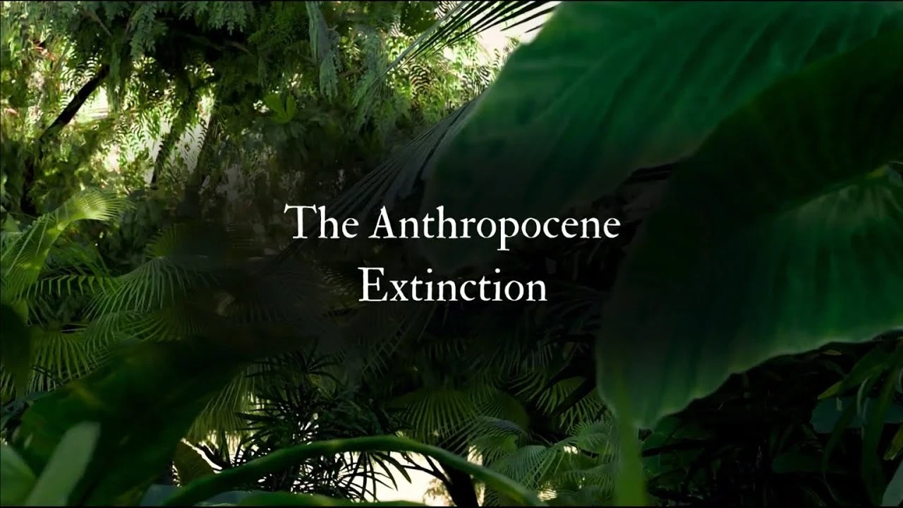 The Anthropocene Extinction | Blender Short Film