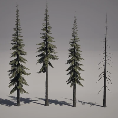 Pacific Northwest Foliage