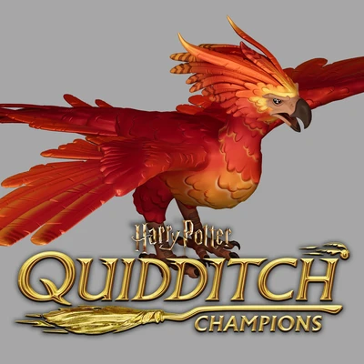Harry Potter: Quidditch Games - Fawkes