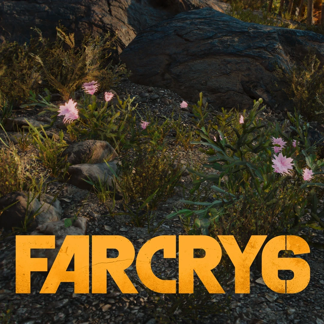 Far Cry 6 | Biomes | Dry Broadleaf