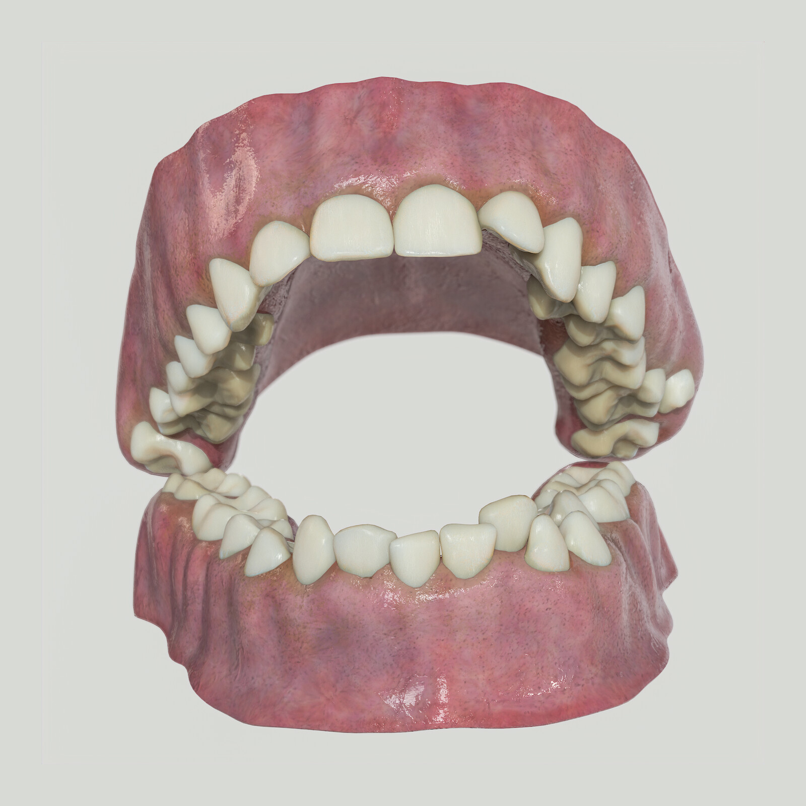 Scan-Derived Dental Reconstruction – Real-Time Study