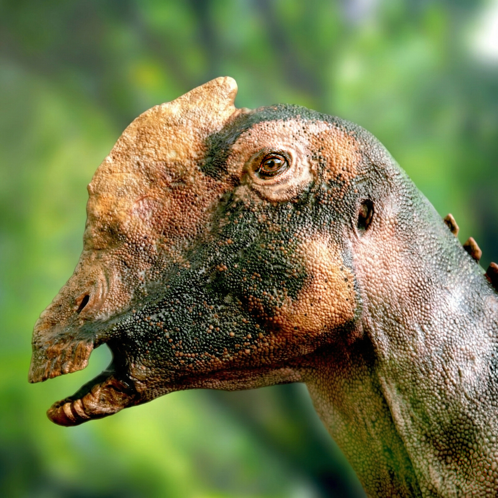 Arenysaurus ardevoli | Lookdev study