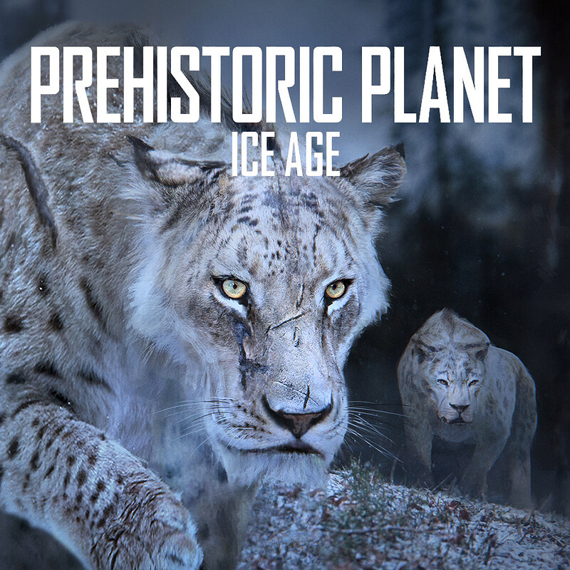 Prehistoric Planet : Ice Age - Sabertooth cats