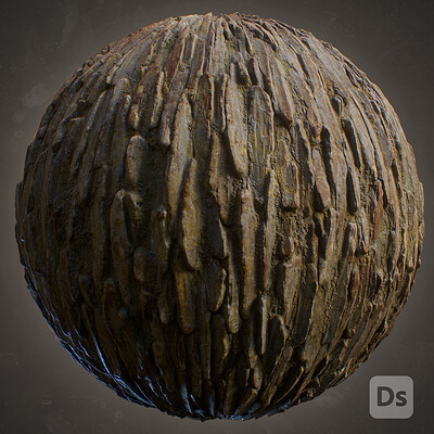Bark - Material Study