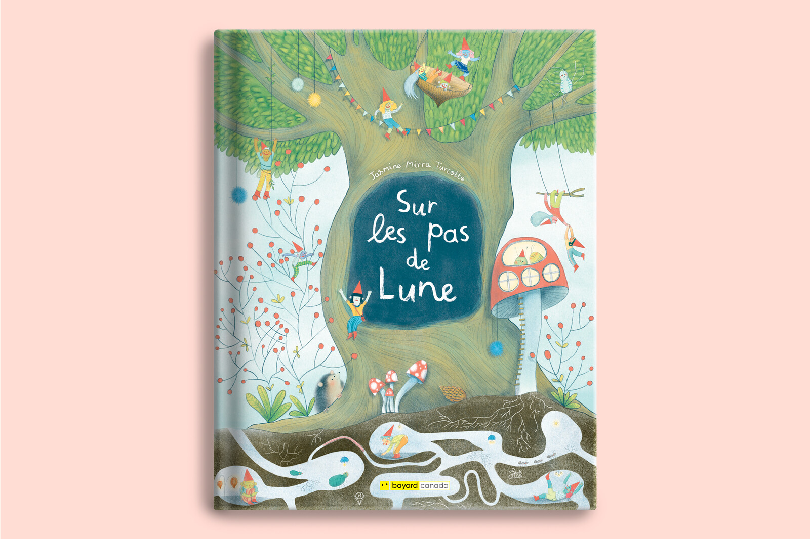 Sur les pas de Lune // graphisme