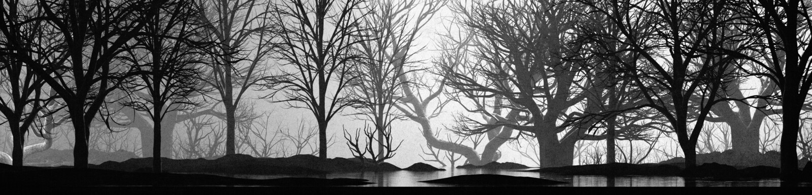 Dark Forest