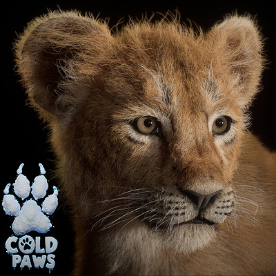 ColdPaws- Lion Cub - Unreal engine 5 Character