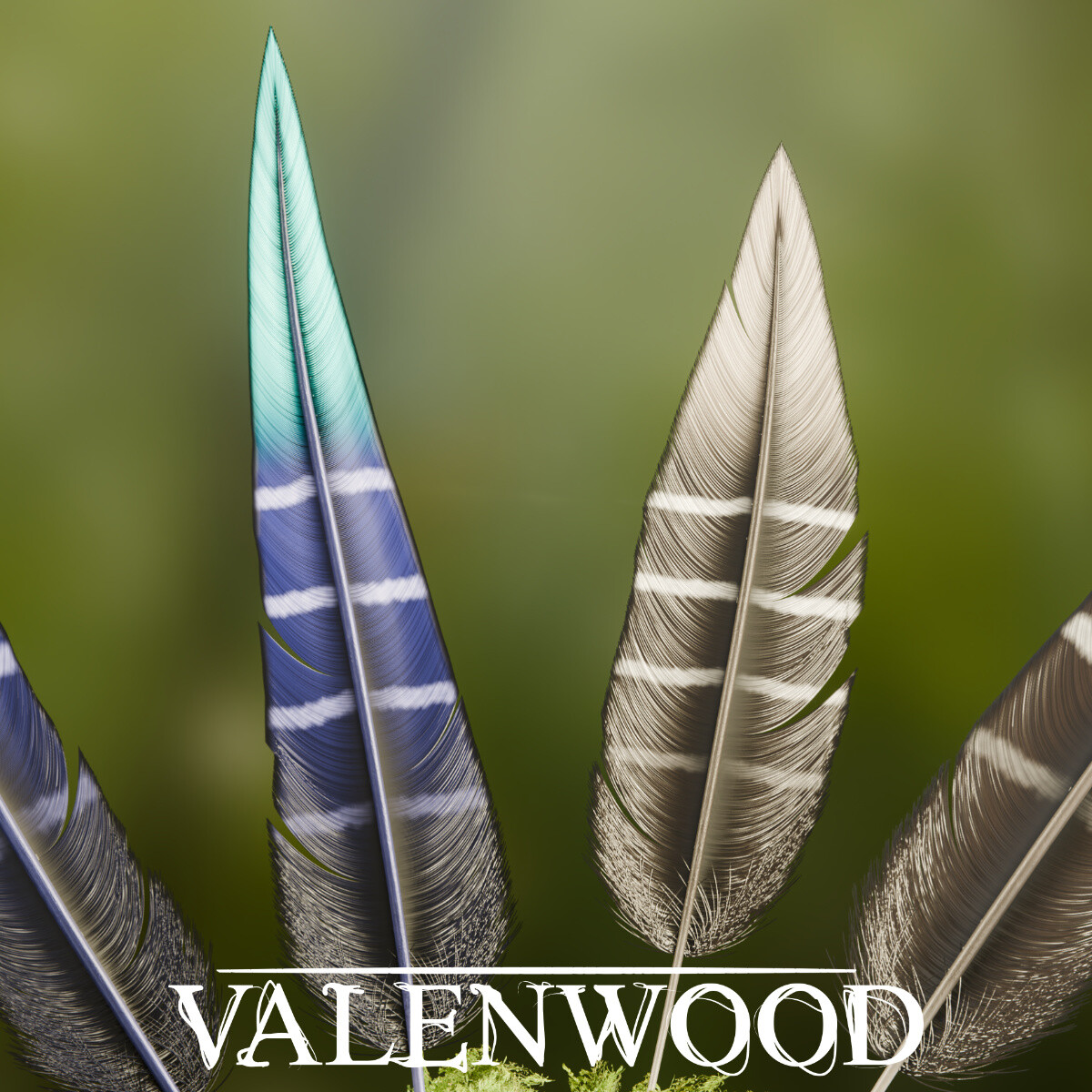 Feathers - Beyond Skyrim Valenwood