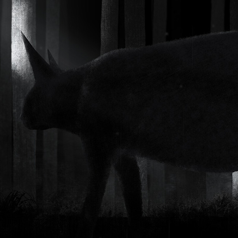 Nullwood project