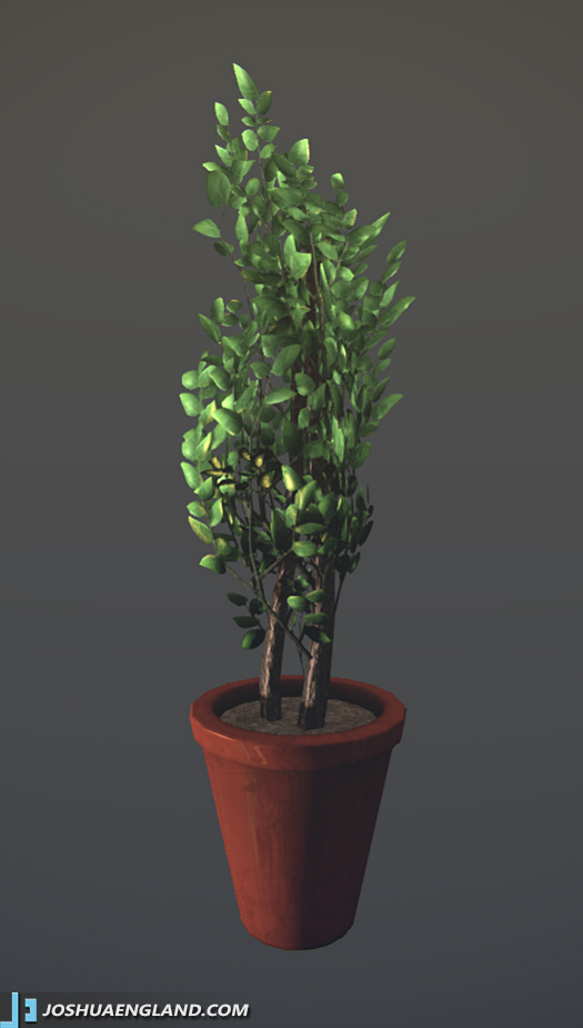 Plant Prop