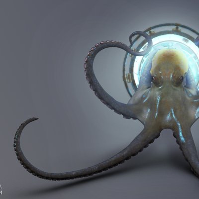 Octopusportal