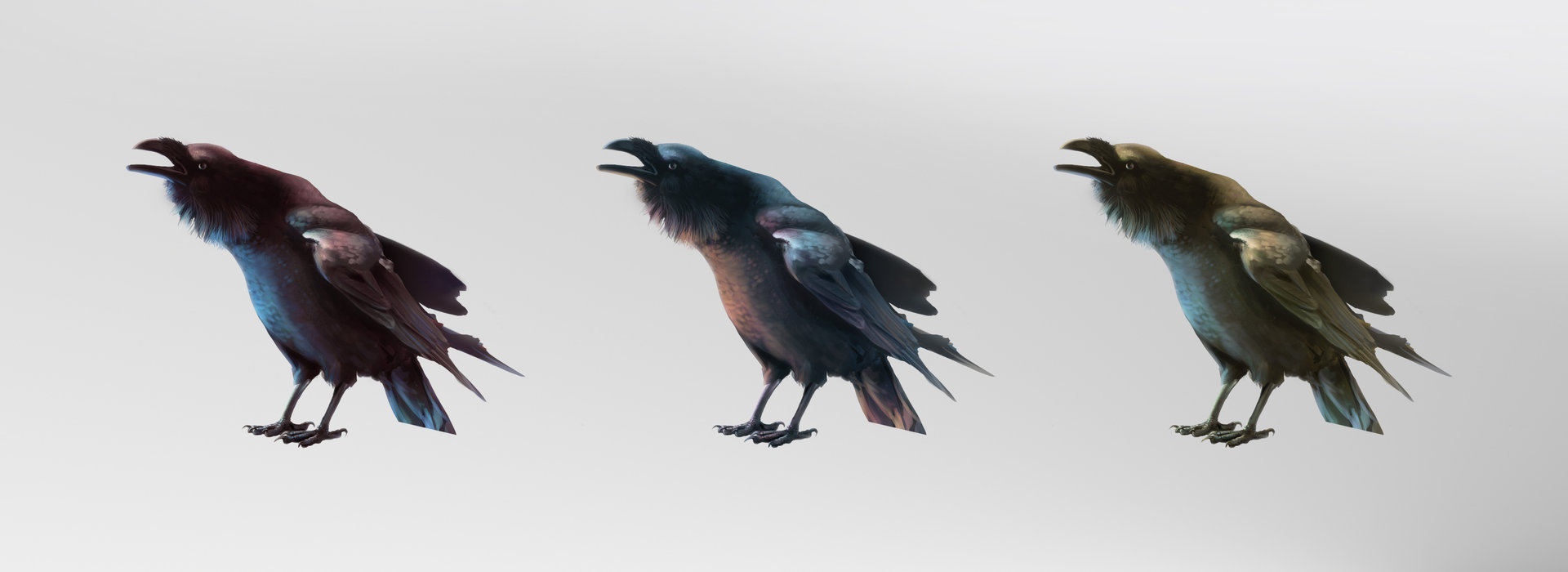 ArtStation - Raven studies