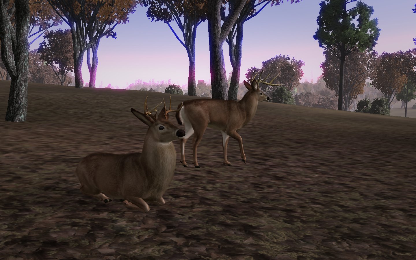 HENRIQUE MANFROI Deer Hunter Tournament (PC, Xbox360)