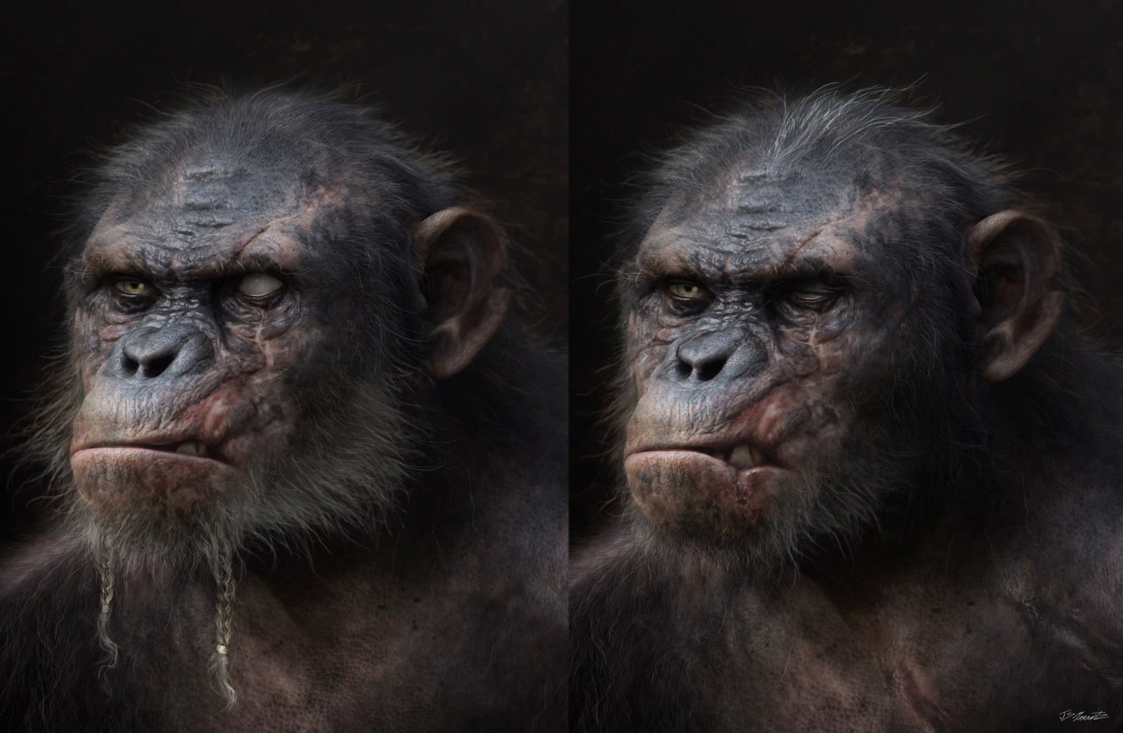 Dawn of the Planet of Apes Koba Design