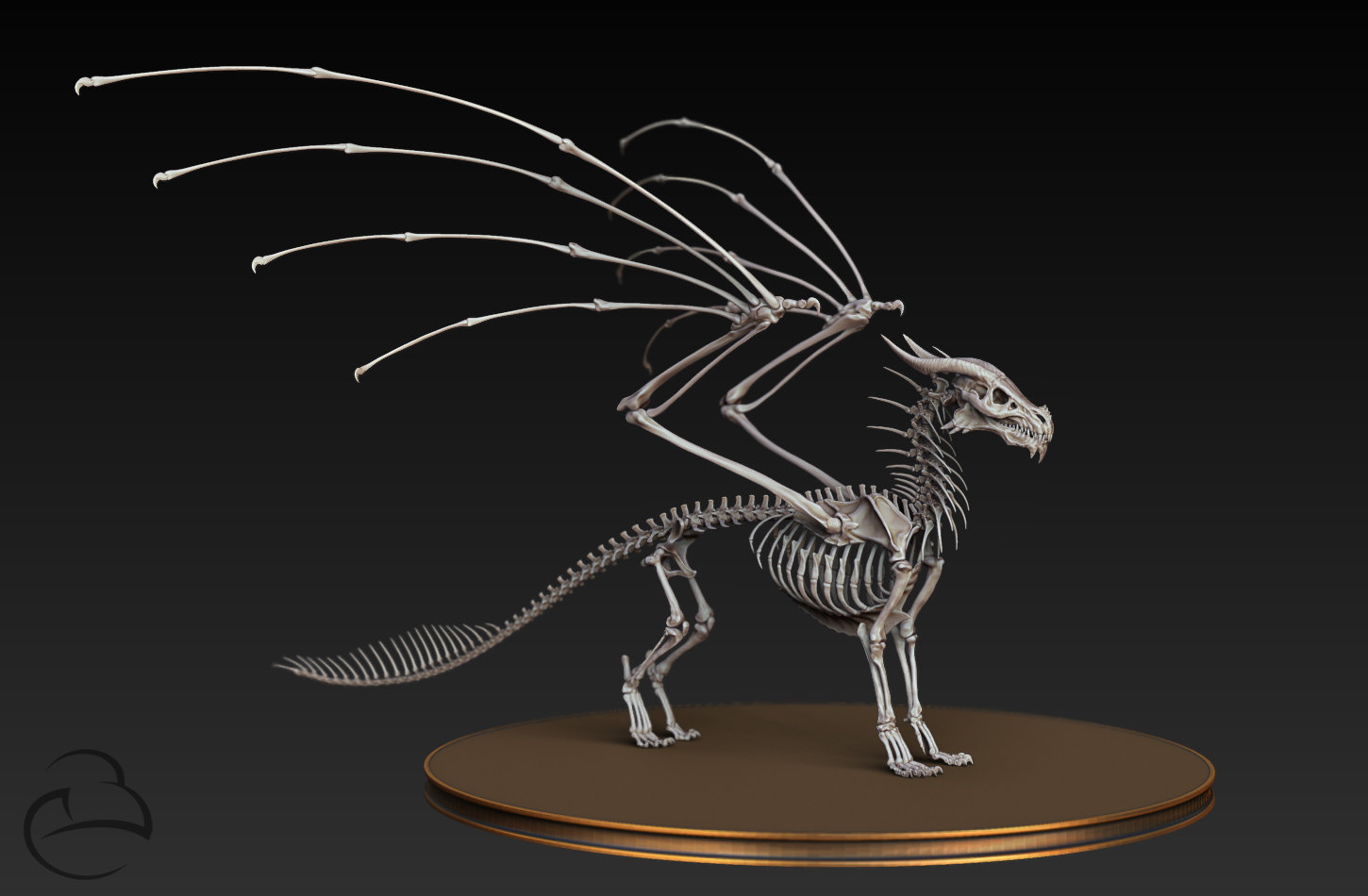 ArtStation - Dragon skeleton anatomy study, Peter Bara