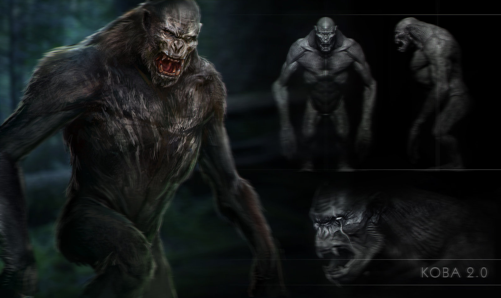 Koba concept