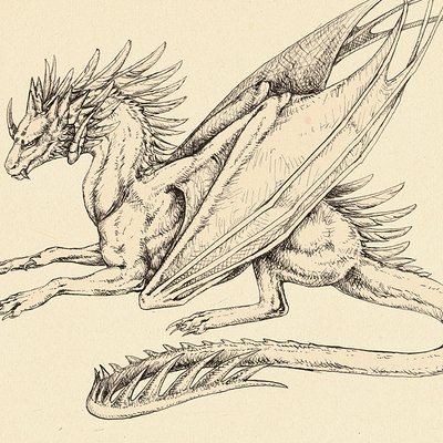 Martina nachazelova ink dragon