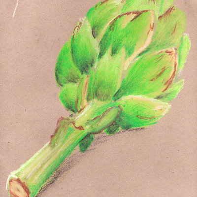 Pete mc nally sketch pastel artichoke