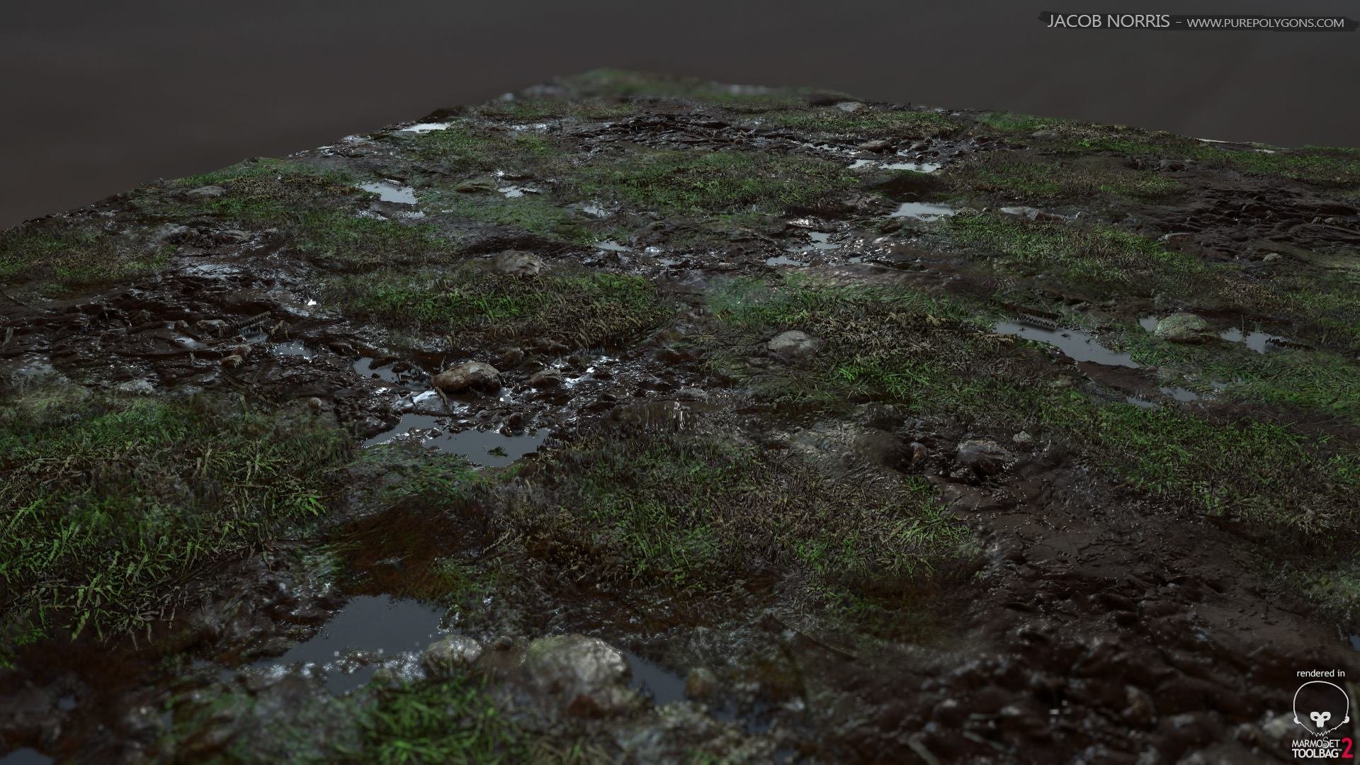 grass with rocks and puddles jacob norris