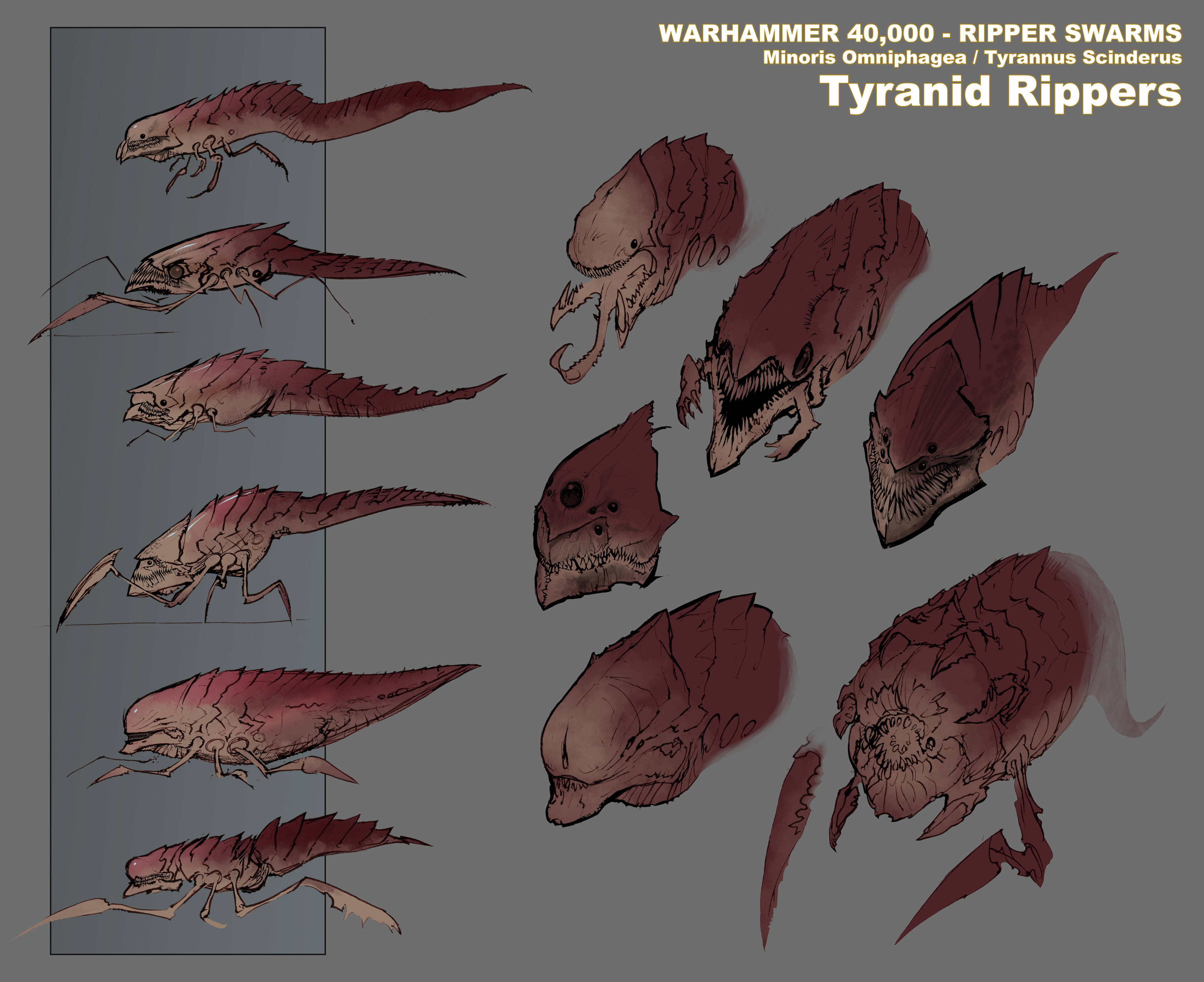 Tyranid Rippers